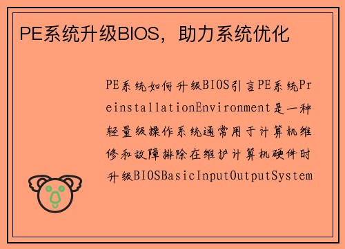 PE系统升级BIOS，助力系统优化