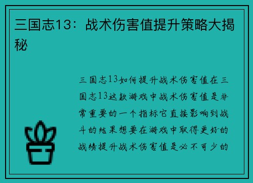 三国志13：战术伤害值提升策略大揭秘